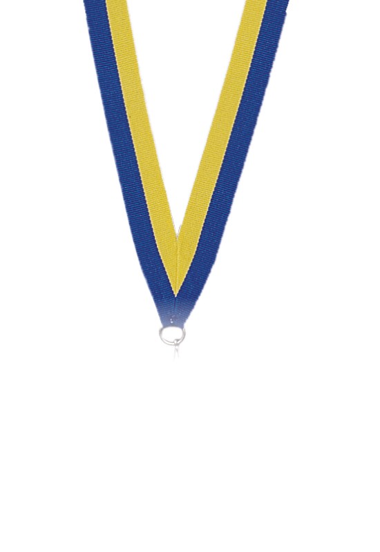 FRANCE-SPORT-RUBAN-P.195-22MM-JAUNE-BLEU-JAUNE-BLEU-1.jpg