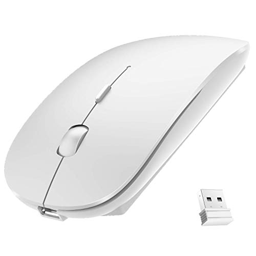 Souris Sans Fil SETTY White
