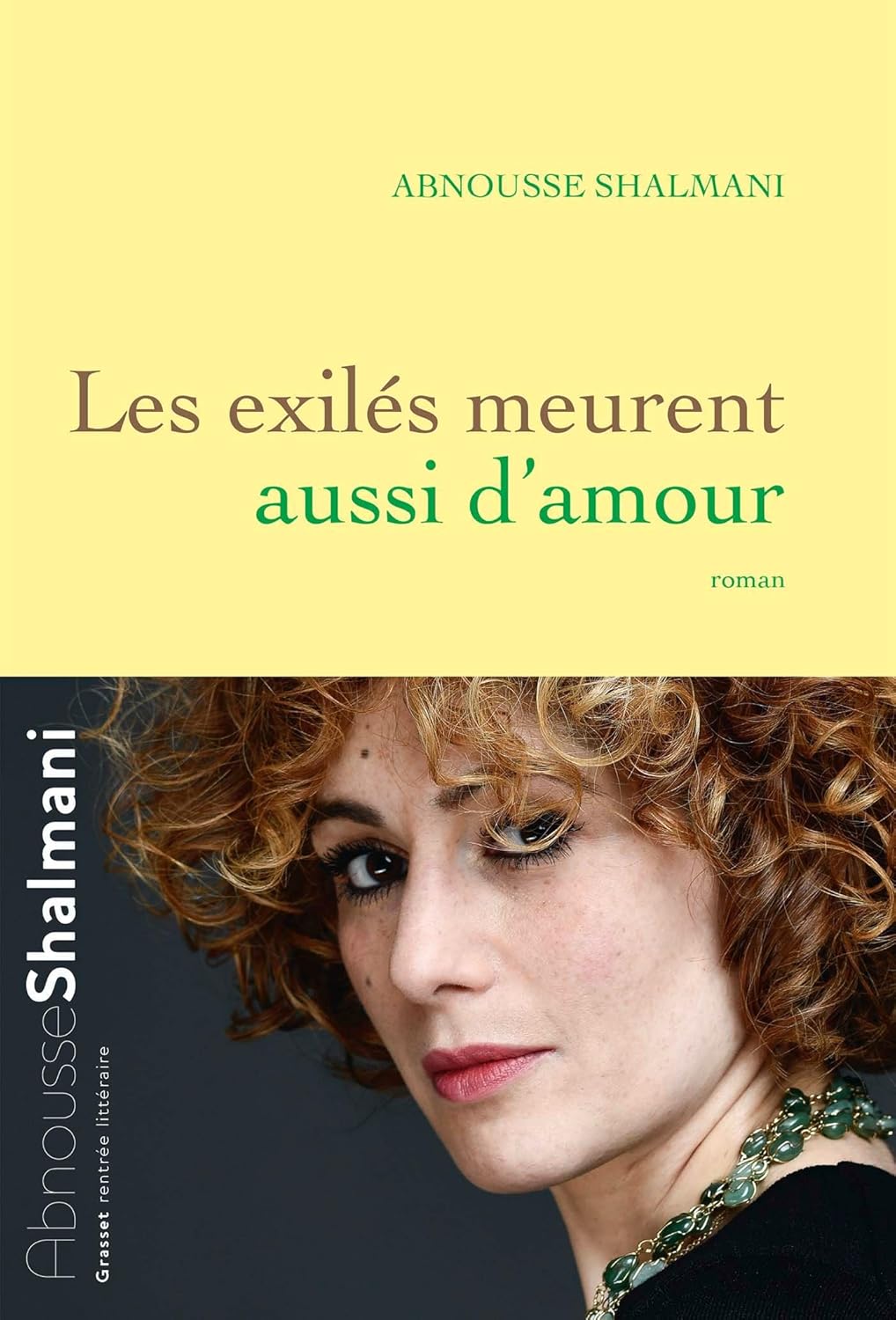 Les Exilés Meurent Aussi D'Amour / Abnousse Shalmani (Auteur)