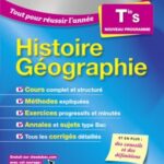 Histoire Géographie Tle S / Nicolas Balaresque (Auteur), Pierre Royer (Auteur)