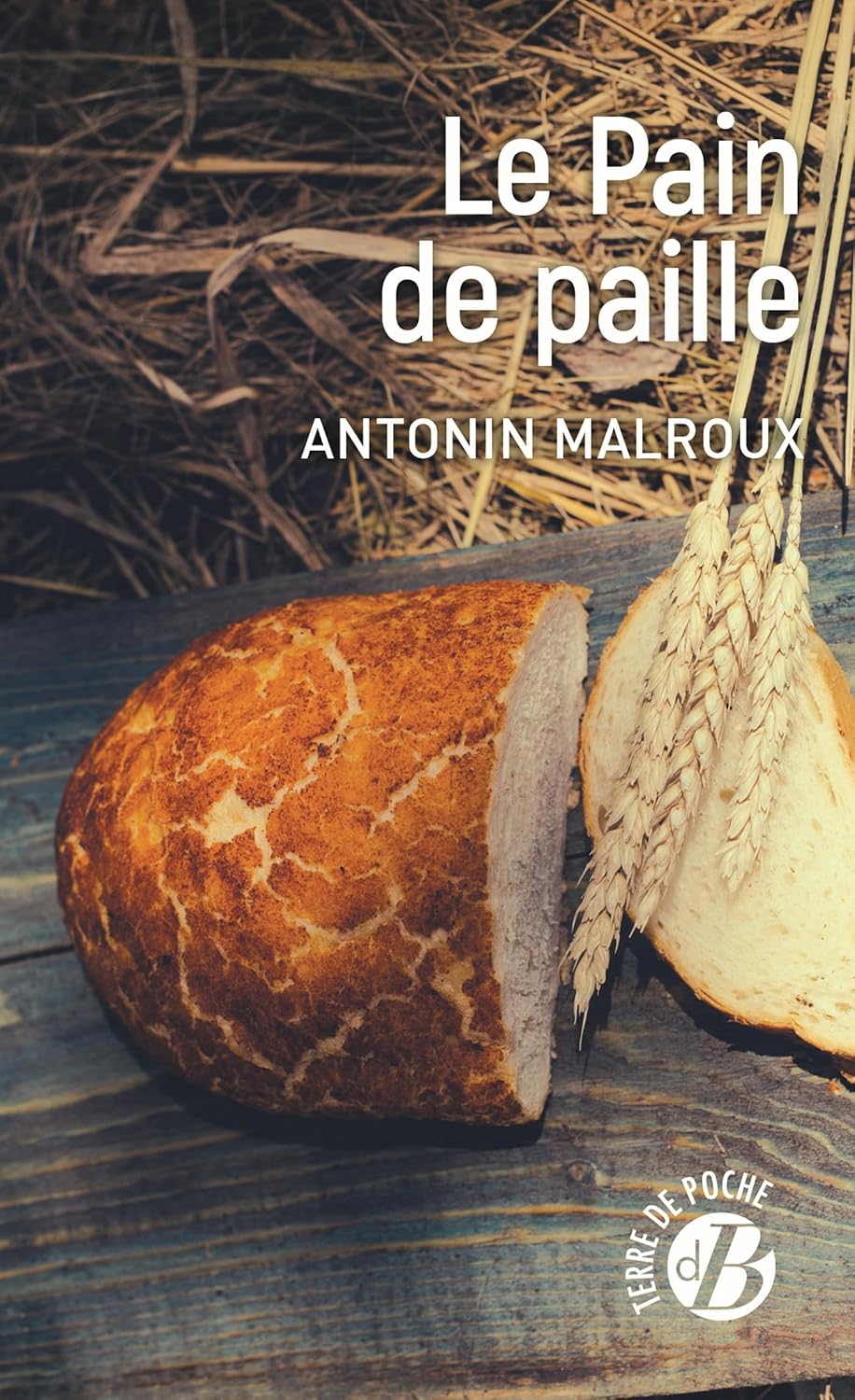 Le Pain De Paille / Antonin Malroux (Auteur)