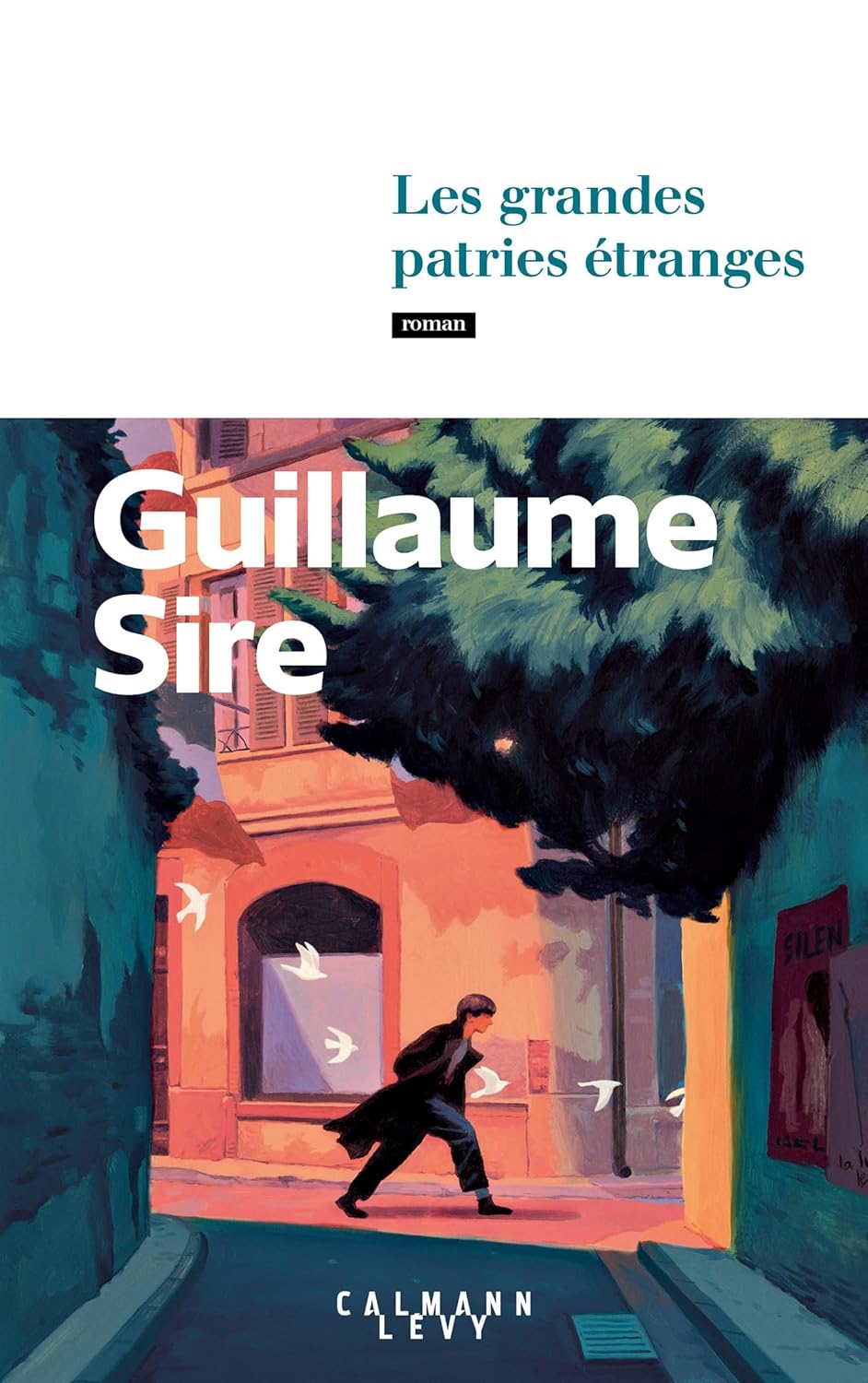 Les Grandes Patries Étranges / Guillaume Sire (Auteur)