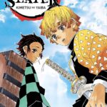 Demon Slayer T03 / Koyoharu Gotouge (Auteur)
