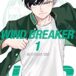 Wind Breaker - Tome 01 / Nii Satoru (Avec la contribution de, Dessins)