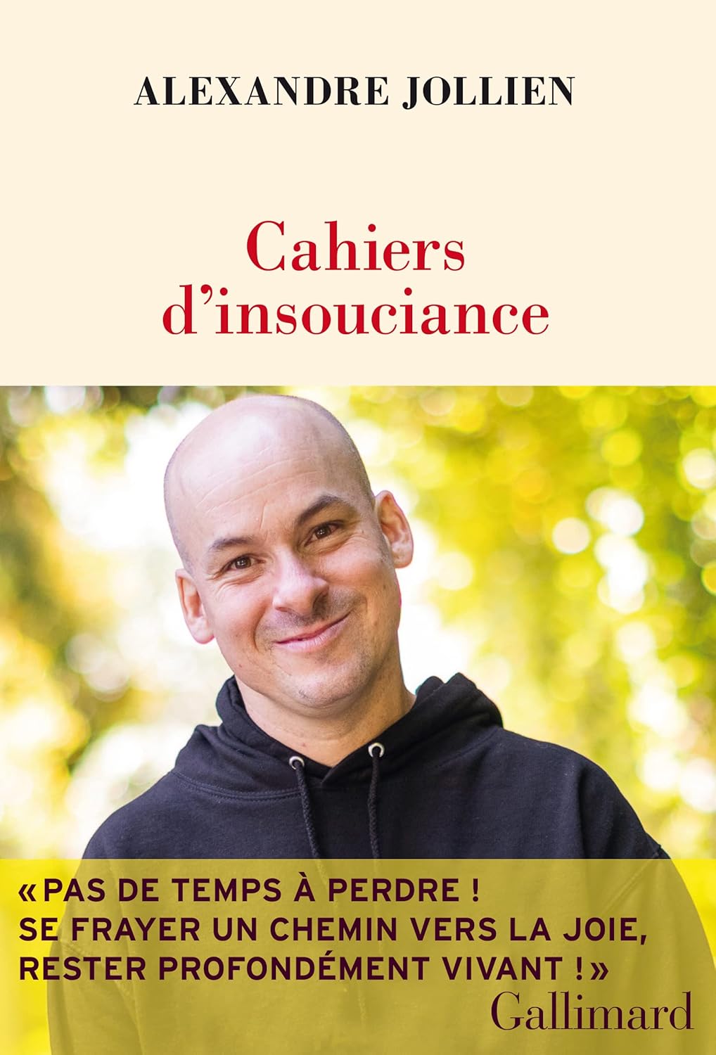 Cahiers D'Insouciance / Alexandre Jollien (Auteur)