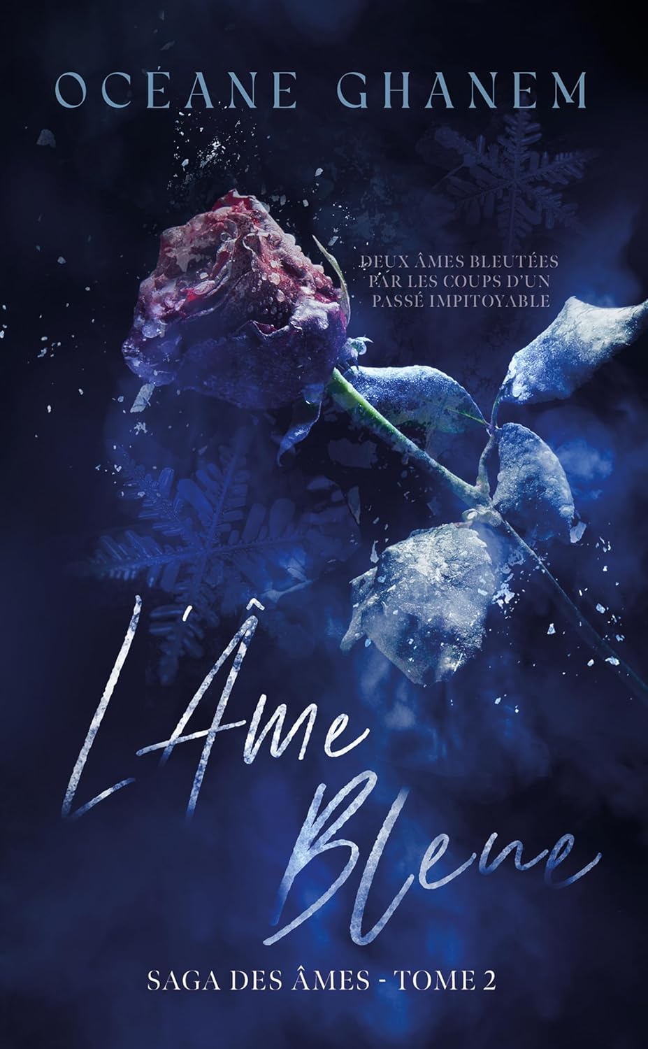 L'Âme Bleue - Saga Des Âmes Tome 2