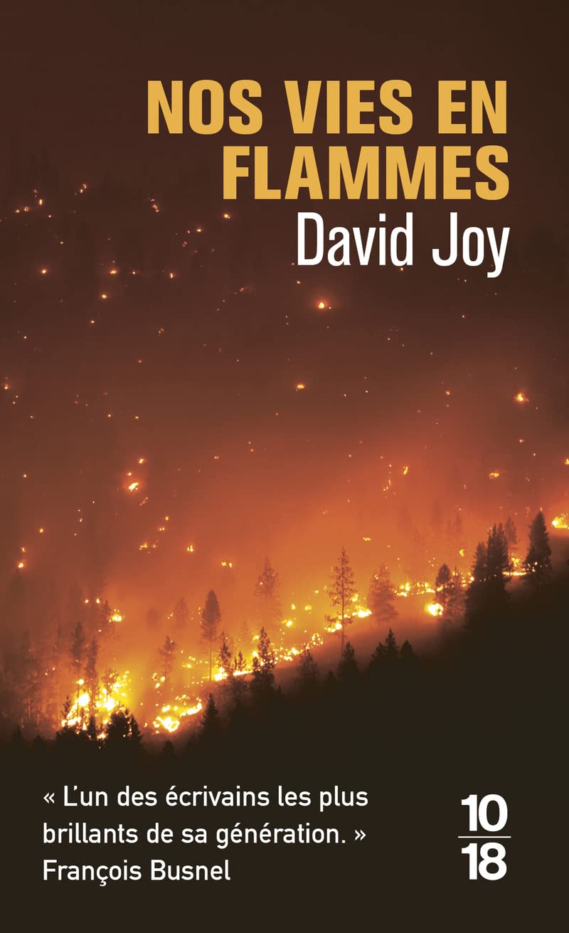 Nos Vies En Flammes - David Joy (Auteur)
