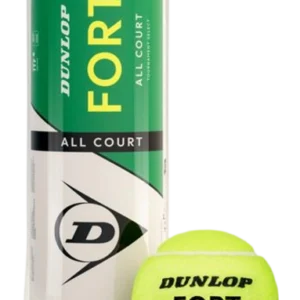 Balles De Tennis DUNLOP Fort All Court 4