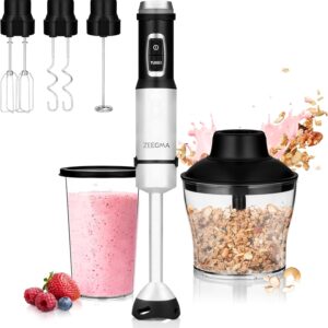 Mixeur Plongeant 5 En 1 ZEEGMA Handy Chef - 1500W - Noir / Argent